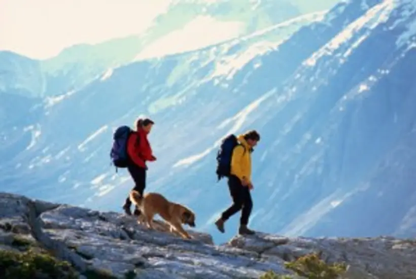 Une randonnée avec votre chien ? C’est possible !