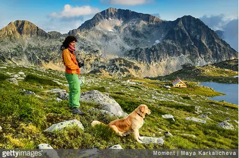 Nos conseils pour préparer une randonnée avec son chien
