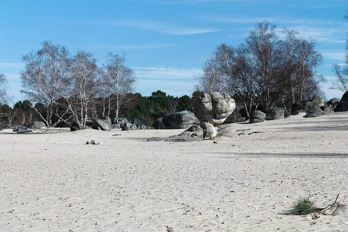 Le lac de sable du Cul du Chien, forêt des Trois Pignons