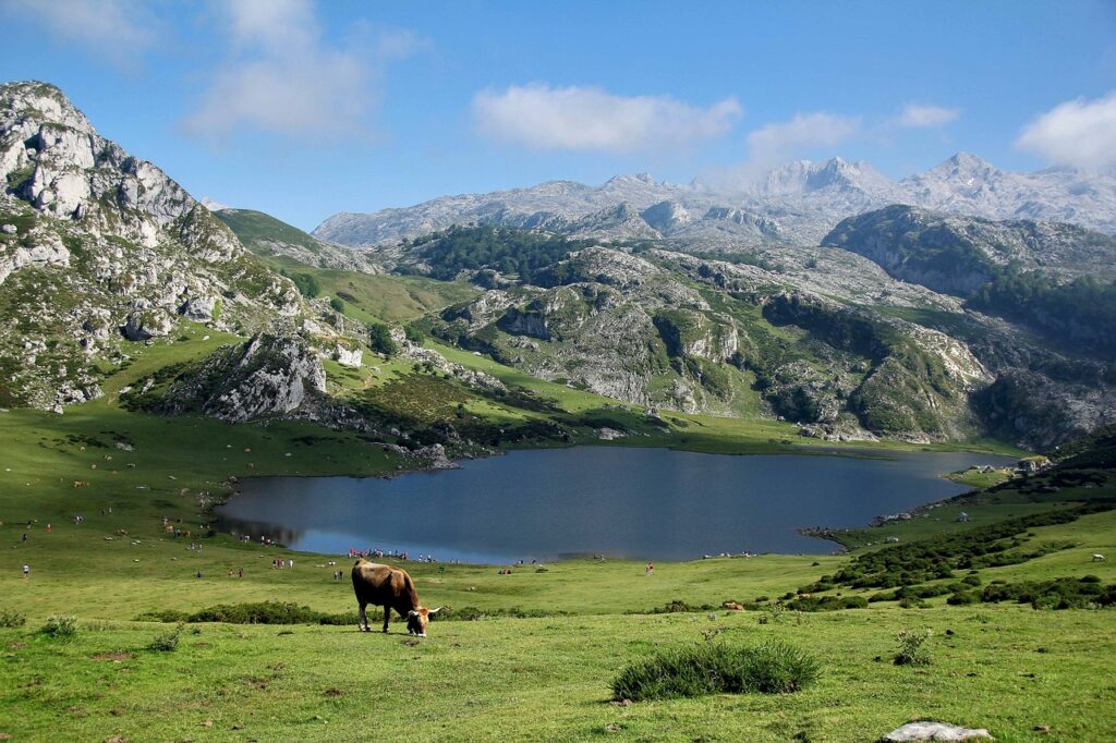 Top 5 des randonnées à découvrir dans le parc de la Vanoise